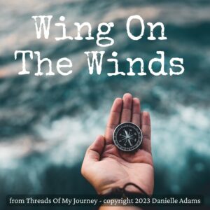 04 – Wing On The Winds